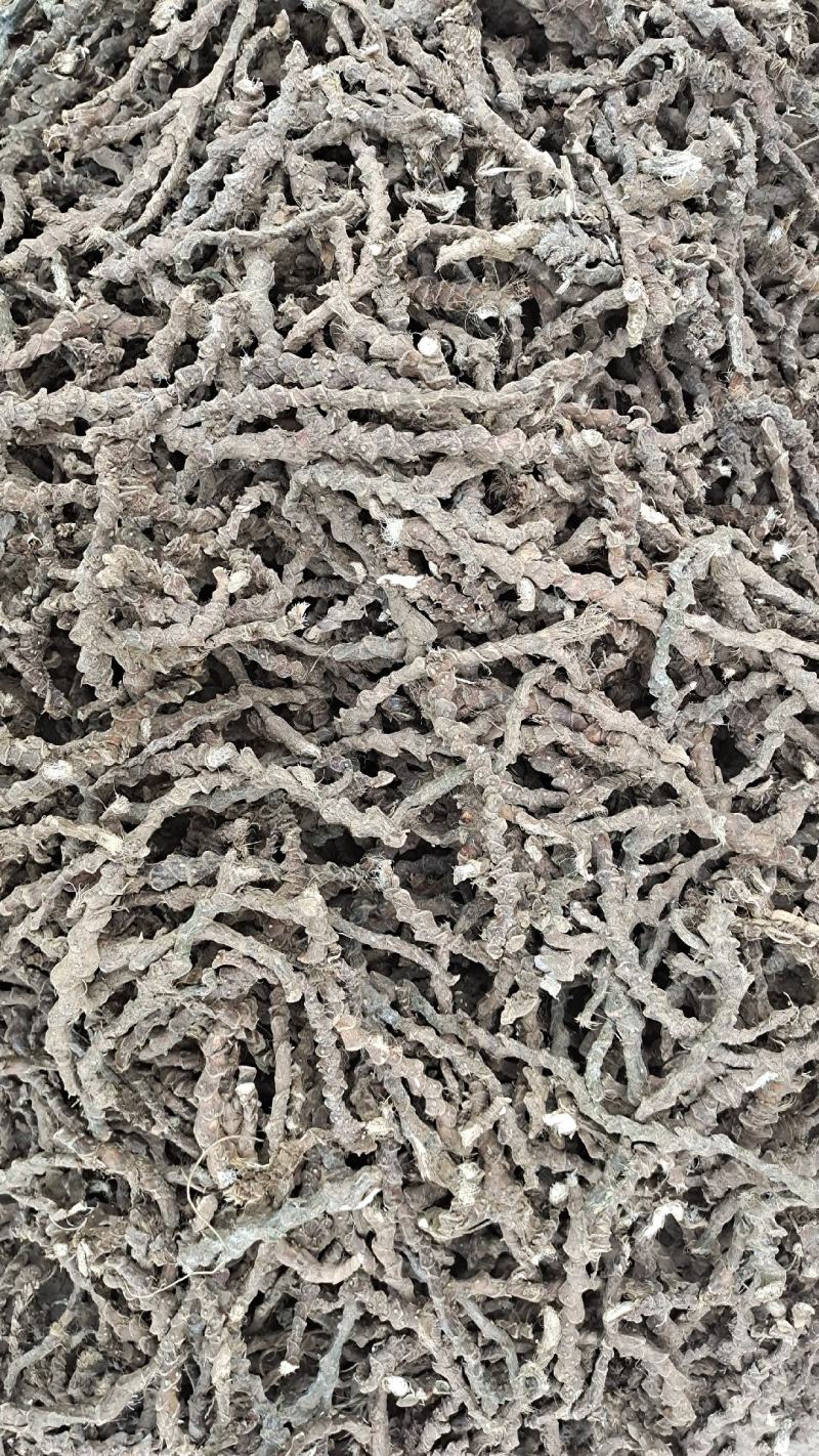 【精选】种植石菖蒲干货四川蓬溪发往全国可详谈可视频看
