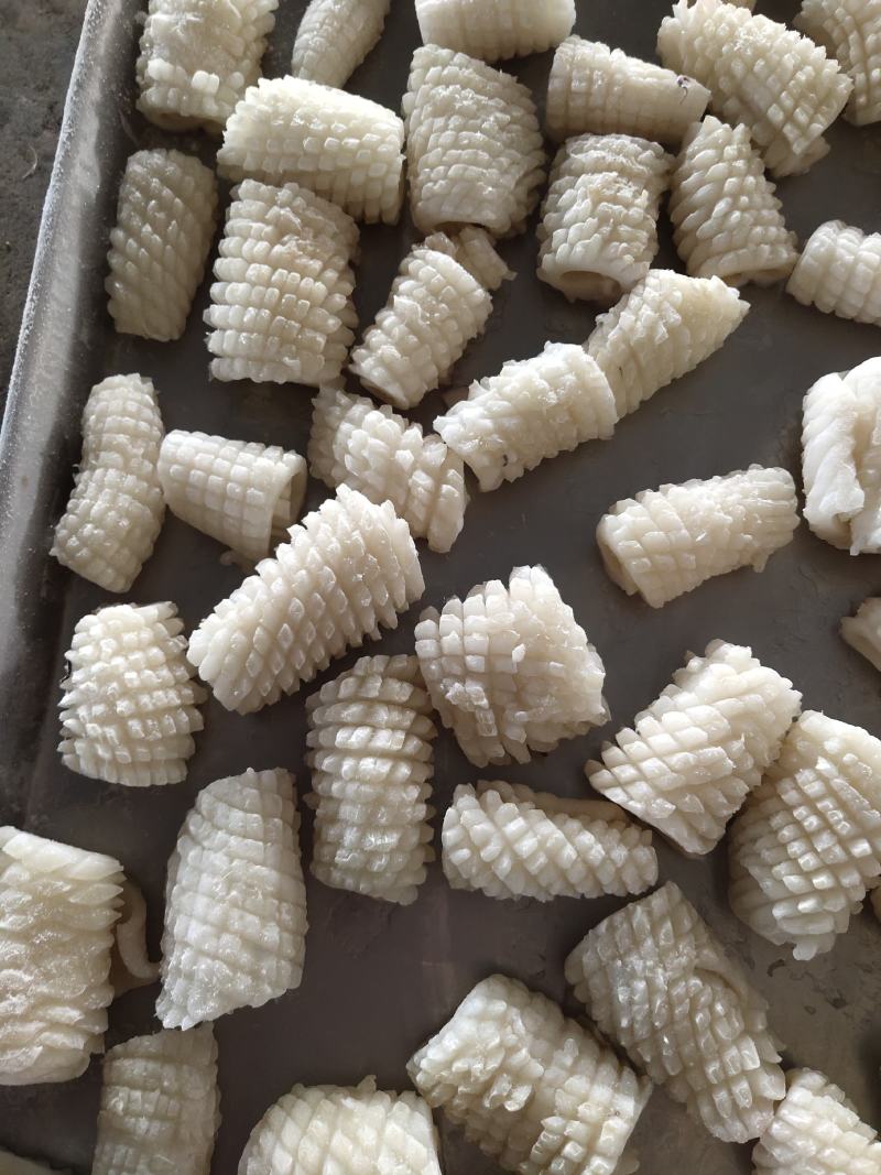 鱿鱼系列