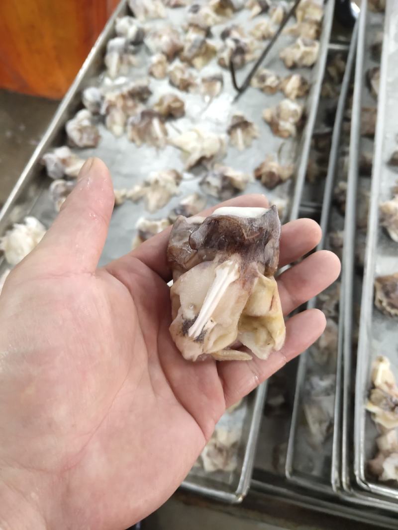鱿鱼系列