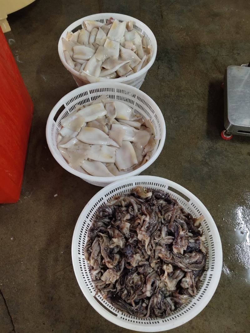 鱿鱼系列
