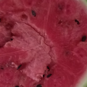 大鹏瓜，咪咪甜，好的的很，