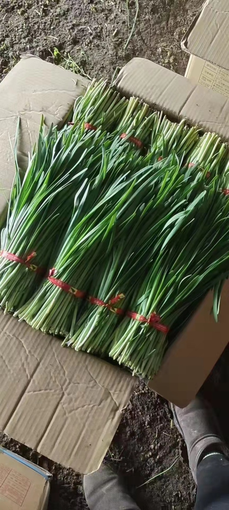 产地直发，全国发货，物美价廉，需要联系，
