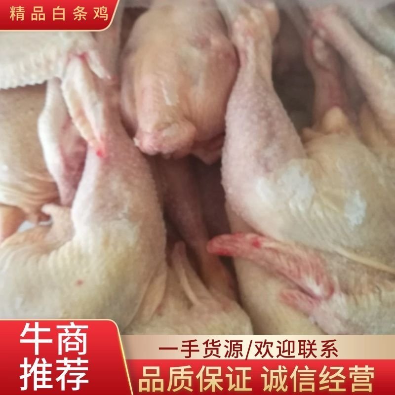 白条鸡跑山鸡三黄鸡供应稳定，量大价优