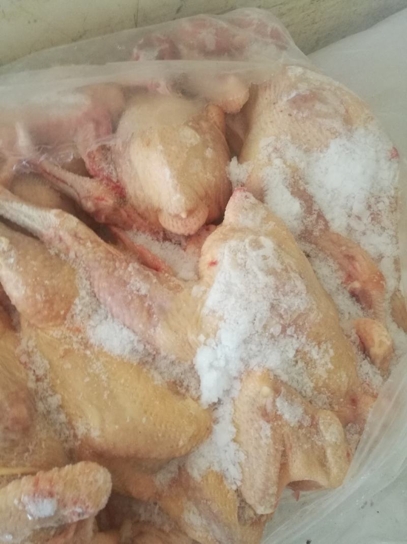 白条鸡跑山鸡三黄鸡供应稳定，量大价优