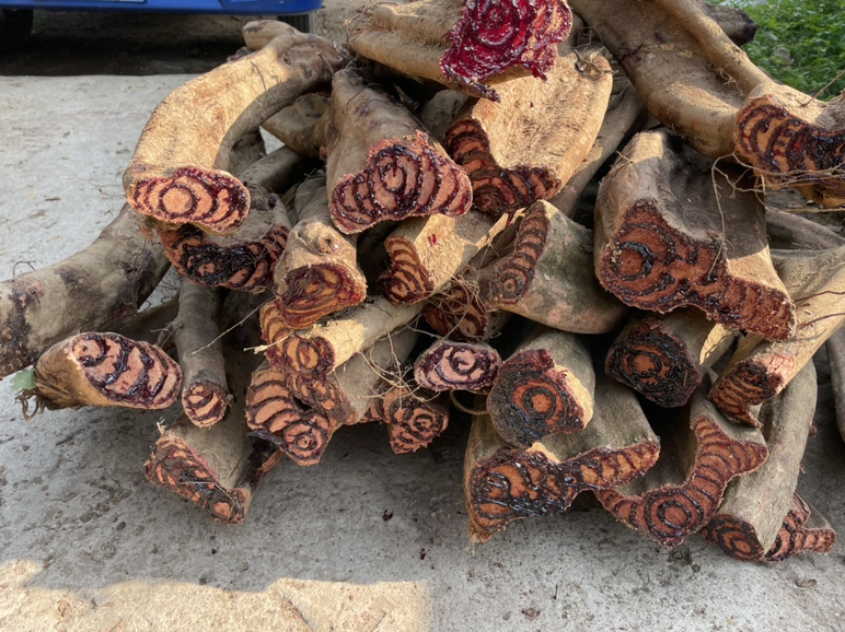 野生鸡血藤,三叶鸡血藤,新鲜干货。支持一件代发