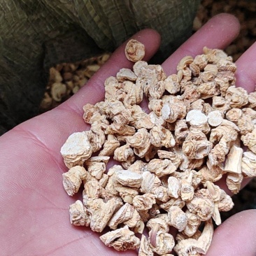 西洋参投料大全芦头须子烂头片沫打粉料