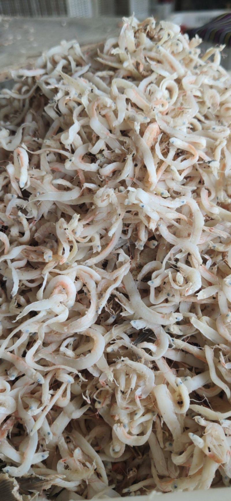 鱼干银鱼凤尾鱼干泥鳅鱼油炸麻辣小零食原料