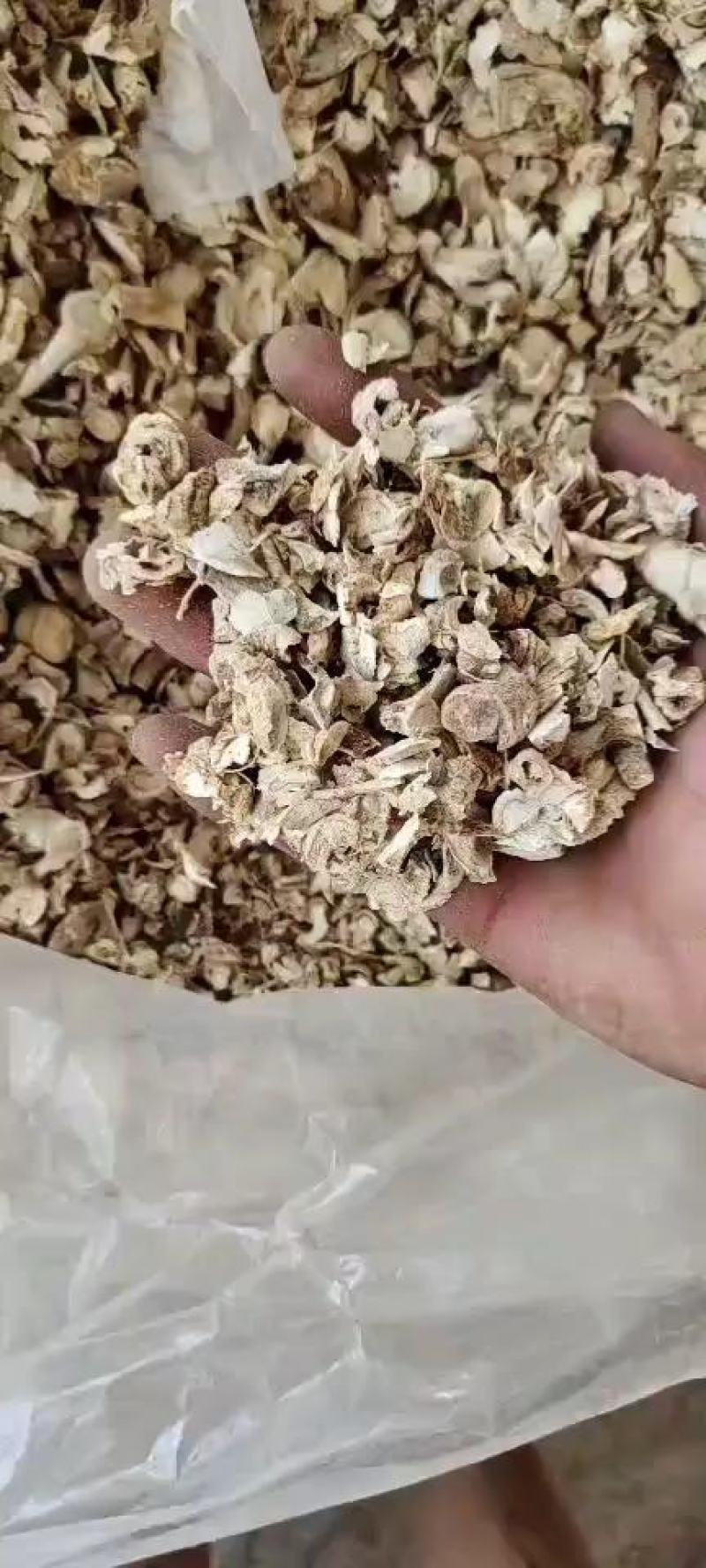 西洋参投料大全芦头须子烂头片沫打粉料