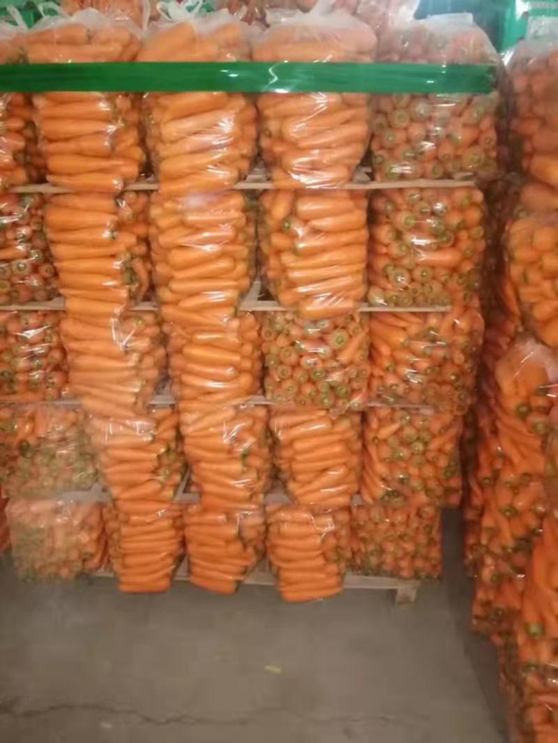 产地直发，精品胡萝卜🥕量大优惠，全国发货。