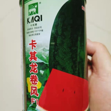 耐重茬卡其龙卷风西瓜种子大红瓤特大免整枝懒汉瓜西瓜籽大红