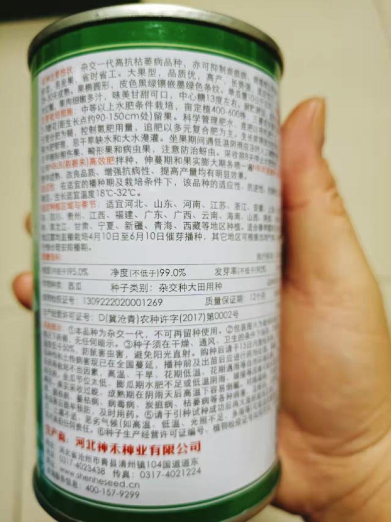 耐重茬卡其龙卷风西瓜种子大红瓤特大免整枝懒汉瓜西瓜籽大红