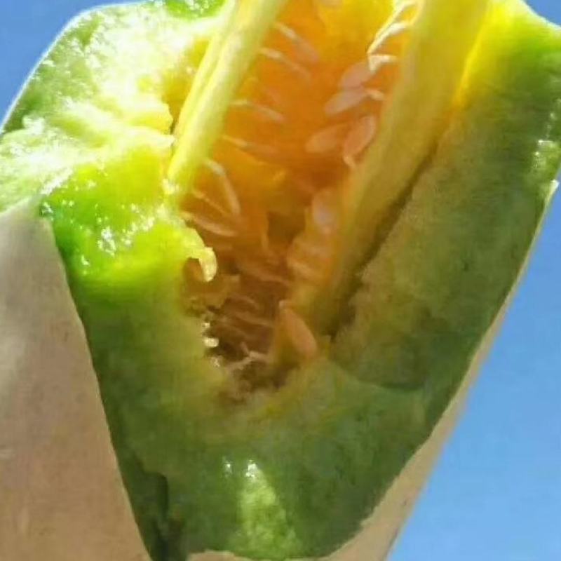 优质甜瓜