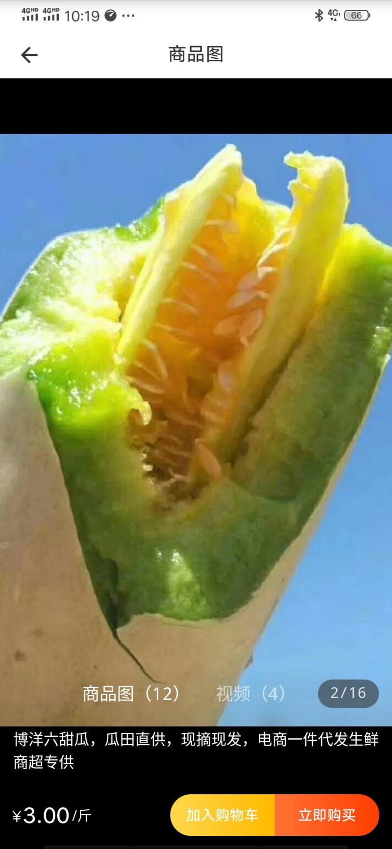 优质甜瓜