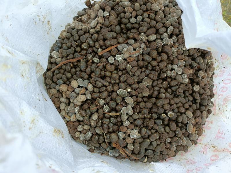 羊粪，纯羊粪，干羊粪，羊粪有机肥，发酵羊粪，纯羊粪有机肥