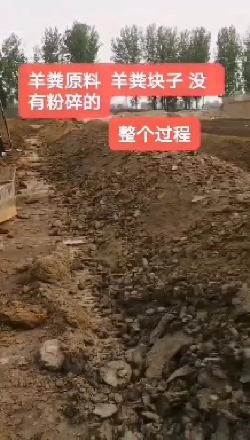 发酵纯羊粪，纯度高，养分全，增产增收，疏松土壤，