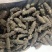 自家的拉缸盐半干海参火候大刺好