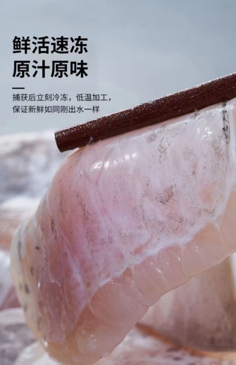 鮰鱼腩肉质鲜美质优价廉老板们的赚钱神器