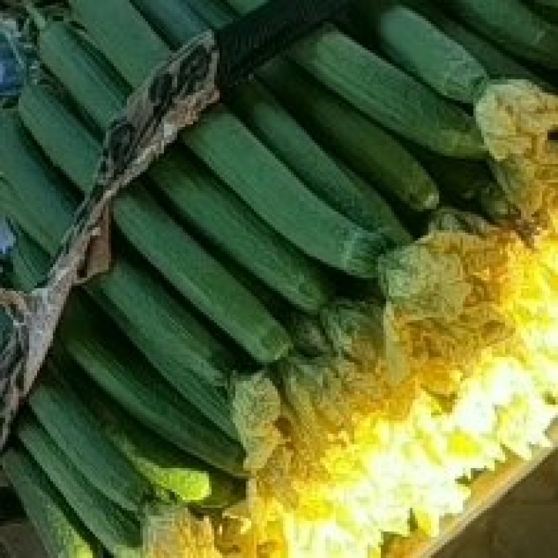 鲜花丝瓜