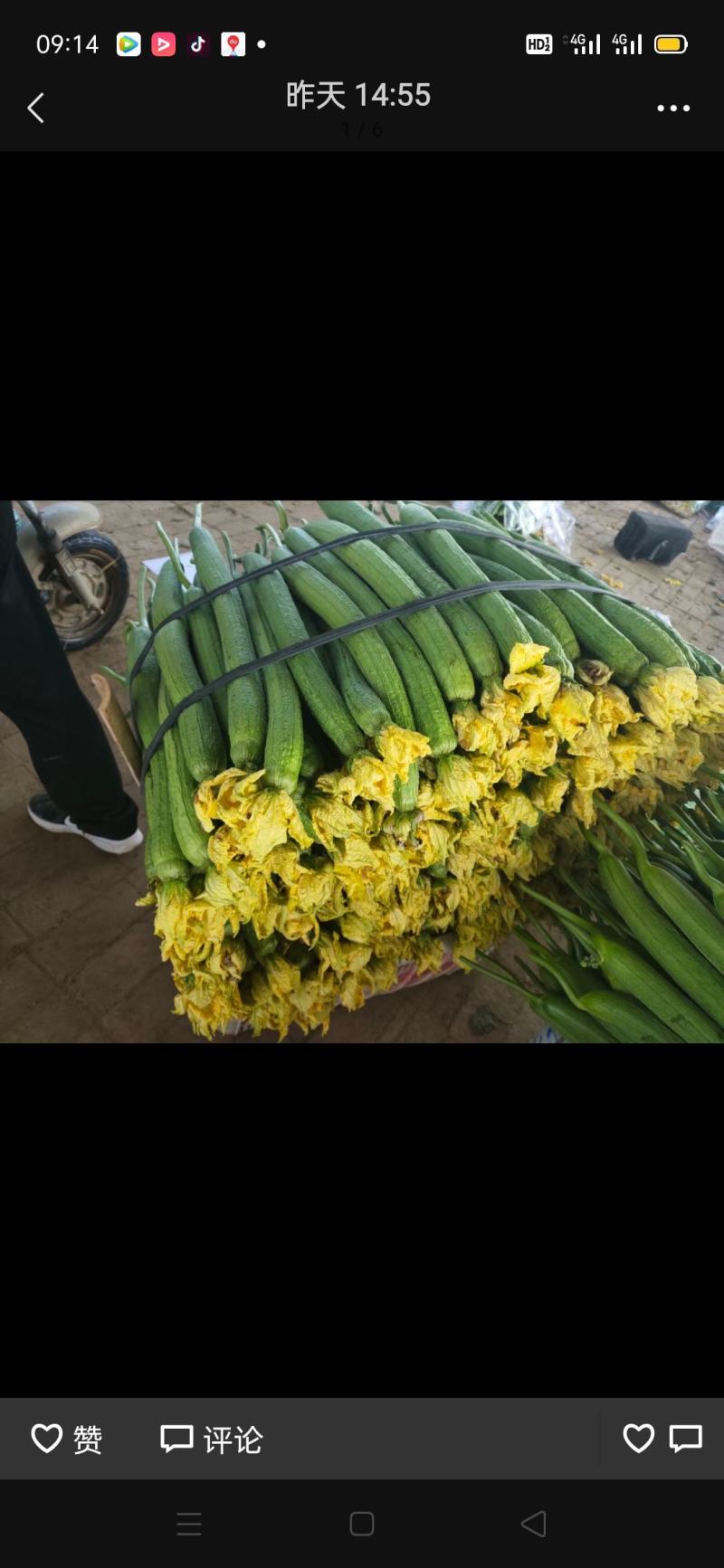 鲜花丝瓜