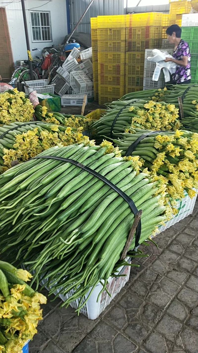 鲜花丝瓜