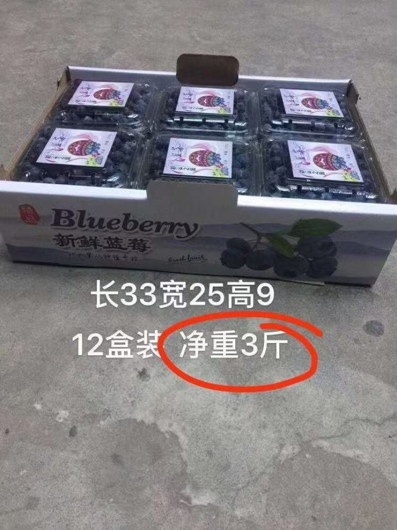 代发花香蓝莓脆甜口感25号云南新鲜露天大量供应现采现发