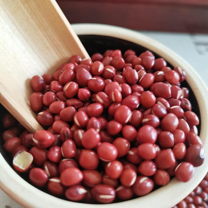 东北红小豆日本红/农安红小红豆用于食品加工，低温烘焙用料