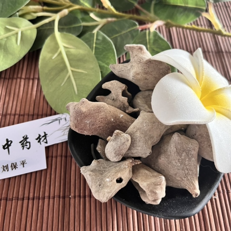 五倍子正品中药材五倍子质量保证批发各种中药材