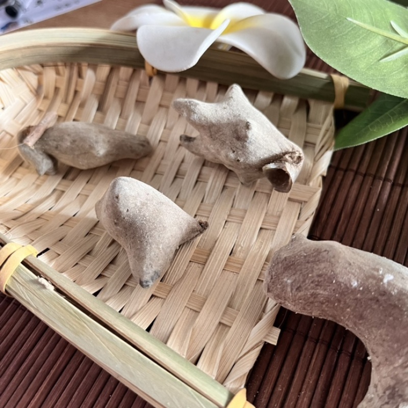 五倍子正品中药材五倍子质量保证批发各种中药材