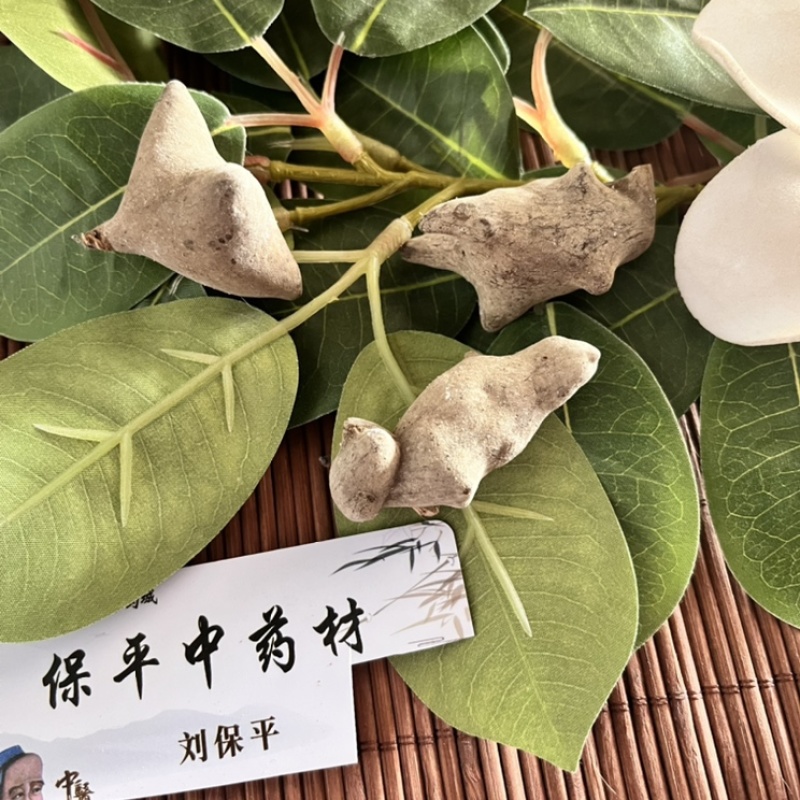 五倍子正品中药材五倍子质量保证批发各种中药材