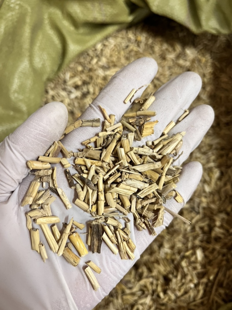 白茅根今年新货新鲜白茅根泡茶药用草药茅根