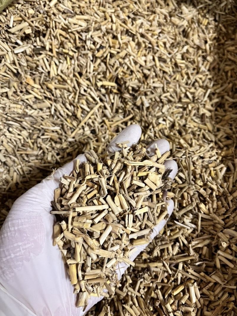 白茅根今年新货新鲜白茅根泡茶药用草药茅根