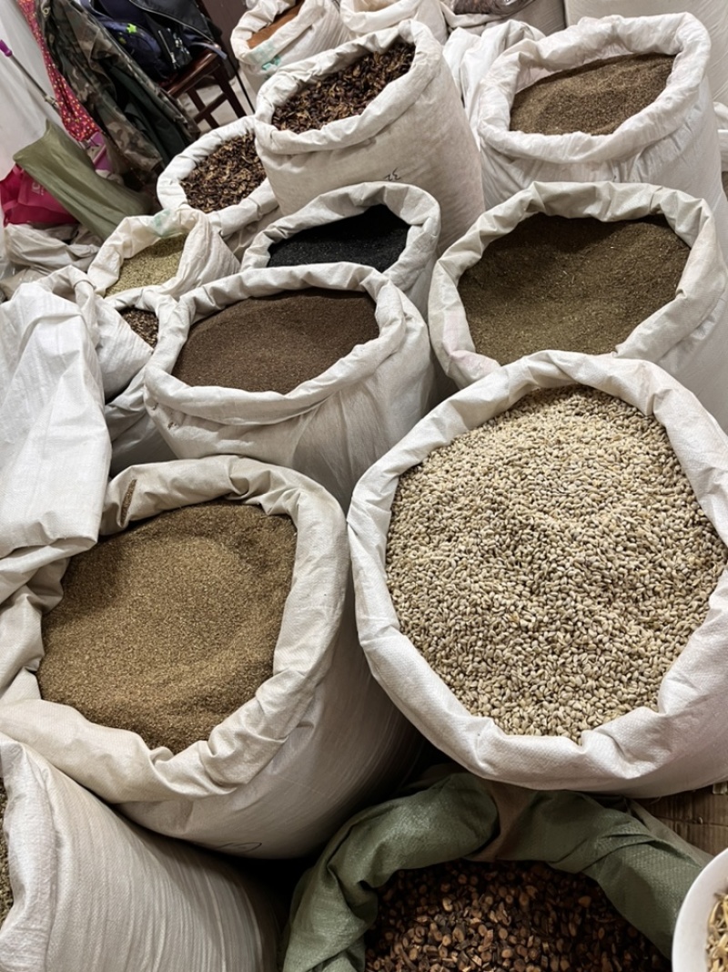 白茅根今年新货新鲜白茅根泡茶药用草药茅根