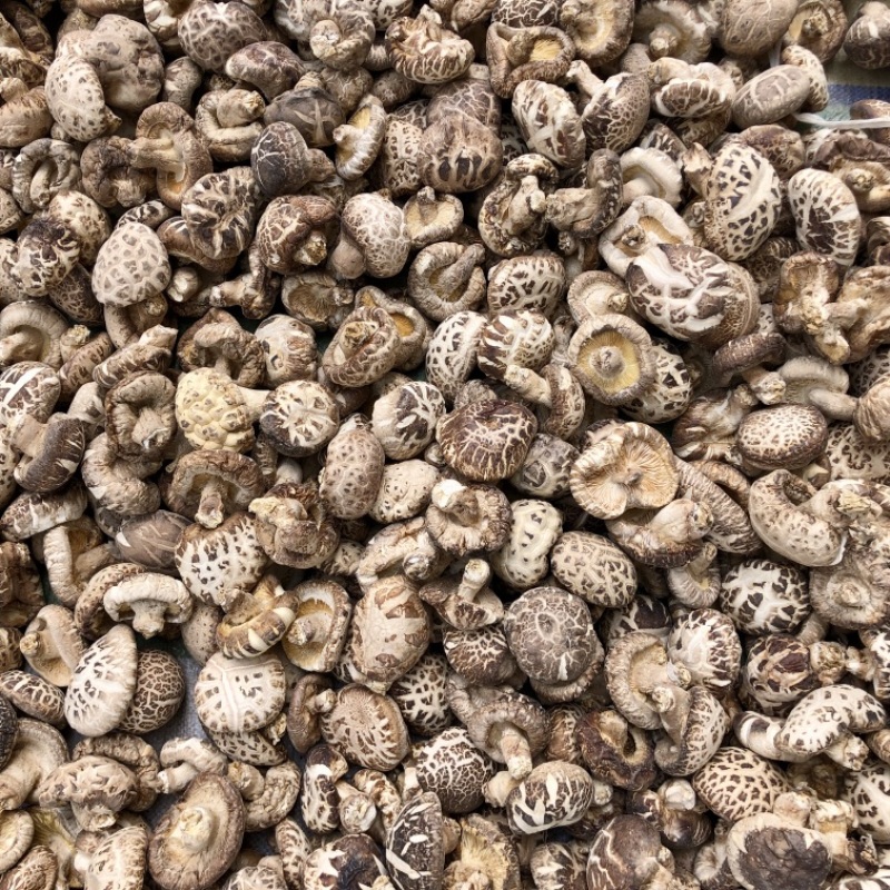 河南泌阳花菇干货肉厚冬菇肉质细产地一手货源批发