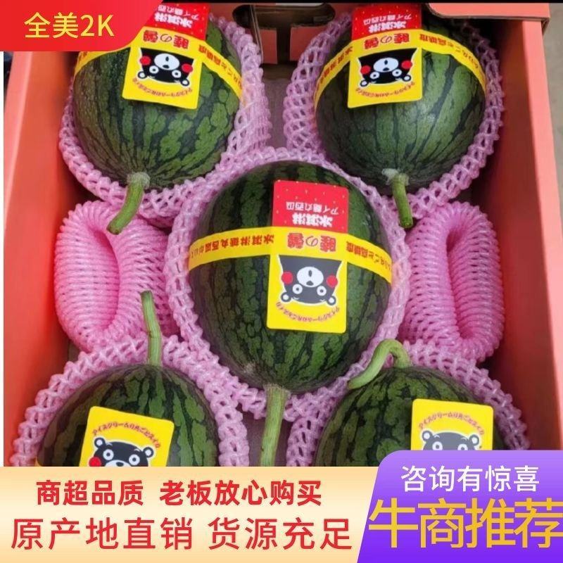 全美2k，2k小吊瓜，冰糖籽小糖丸手剥皮牛奶爆瓜一手货源