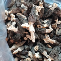 羊肚菌干品