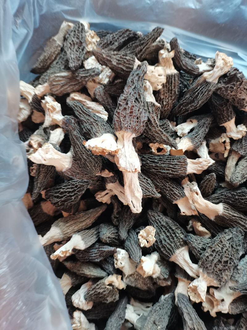 羊肚菌干品