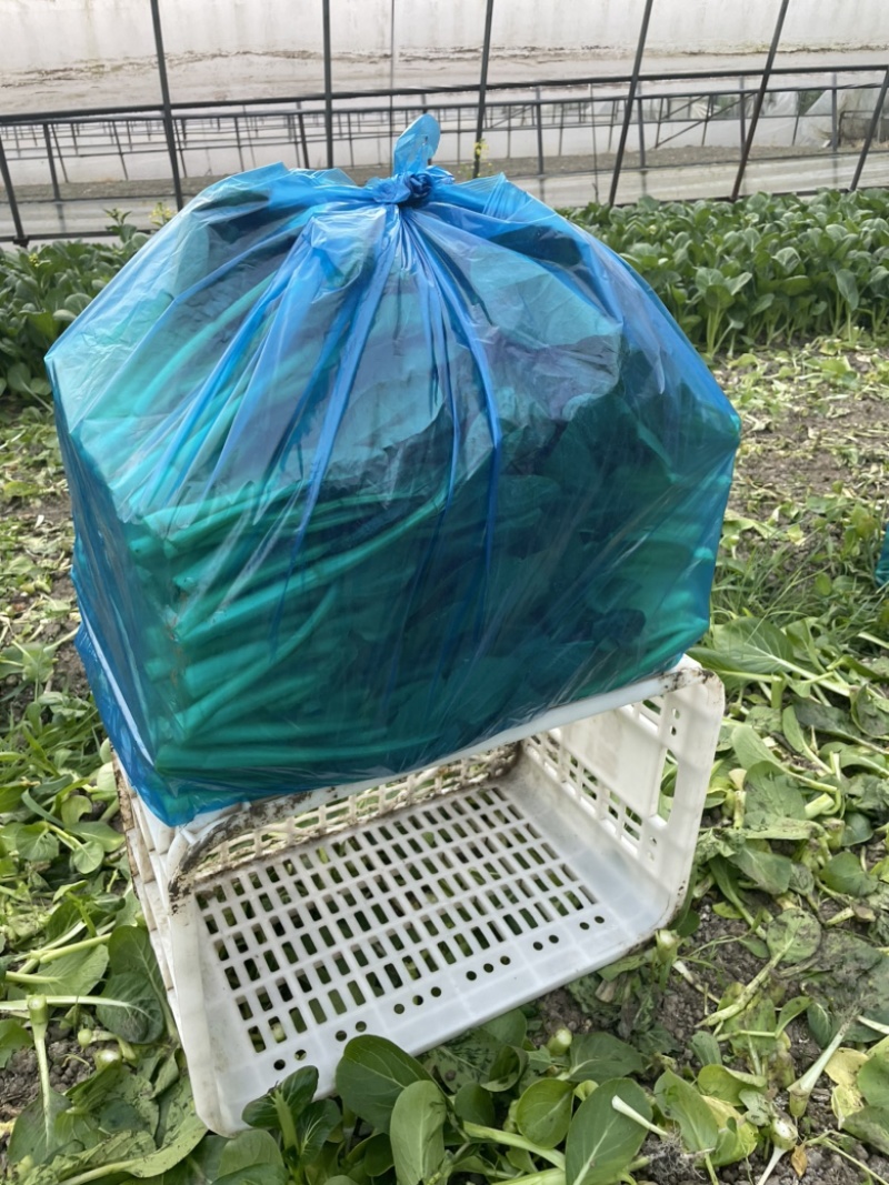 【推】菜心菜苔商超，工厂学校，社区食堂，团购扎把，一手货