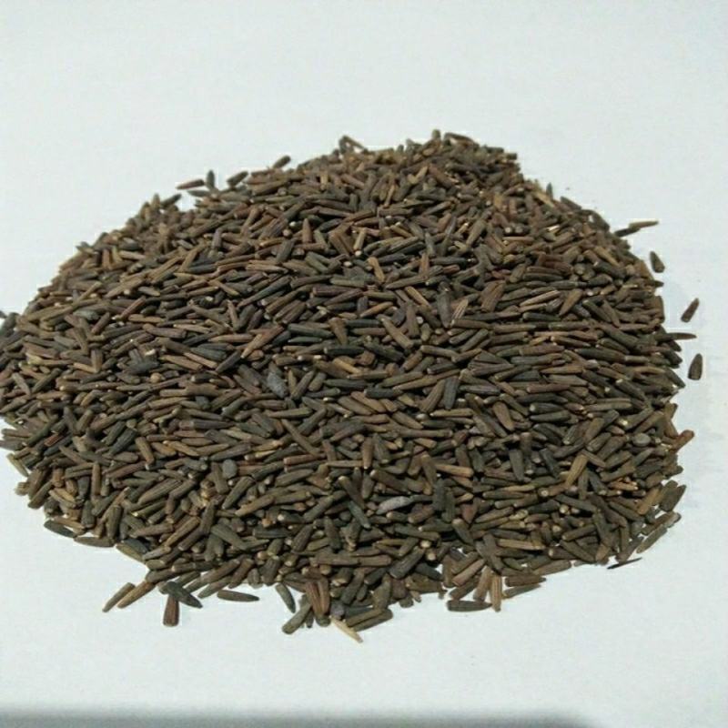 驱虫斑鸠菊新疆干货驱虫斑鸠菊斑鸠菊包邮