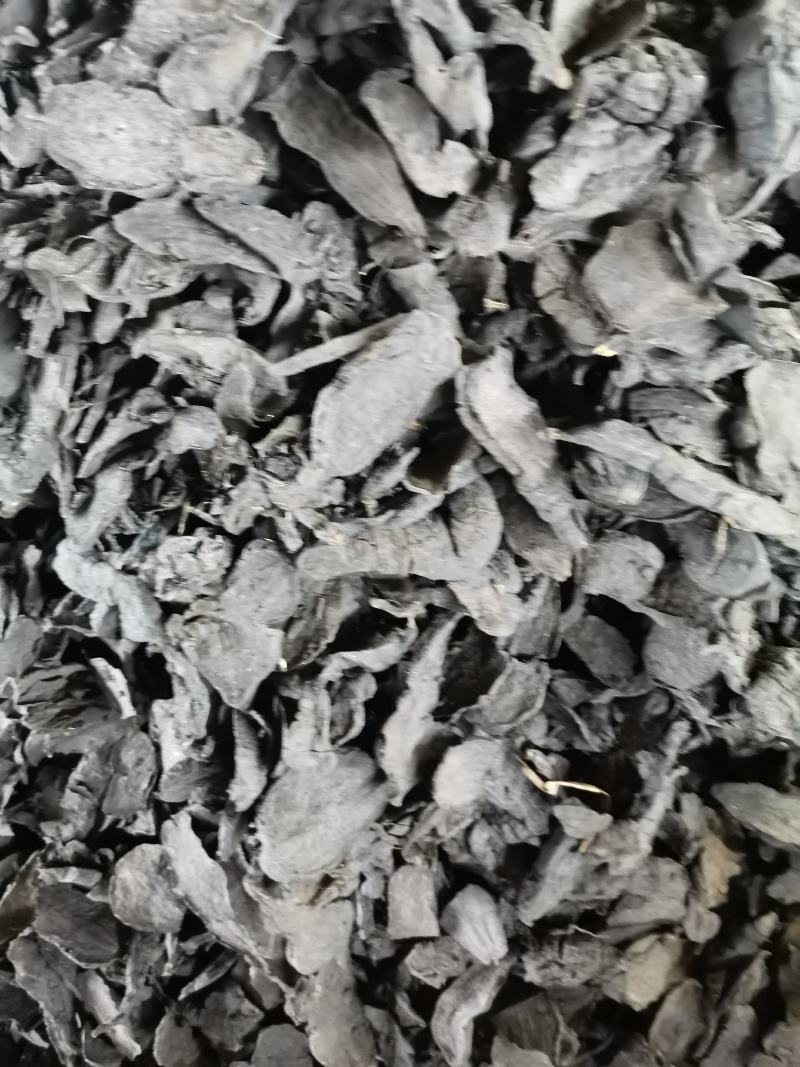 何首乌，新制大片