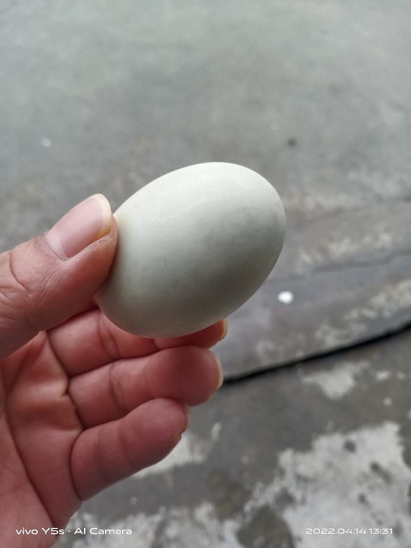 哑子鸭蛋，经纹蛋，裂纹蛋，红心鸭蛋，哑巴蛋🥚