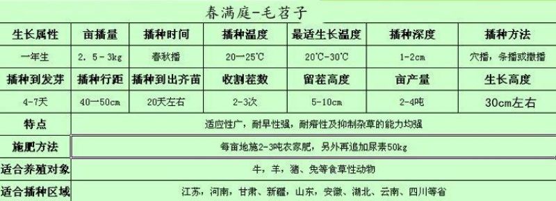光叶紫花苕子，毛苕子，绿肥种子果园绿肥花卉蜜源牧草种子，