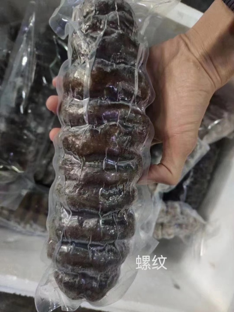龙纹参