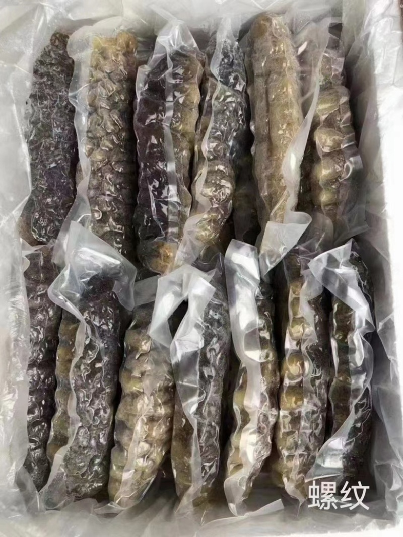 龙纹参