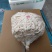 食用菌