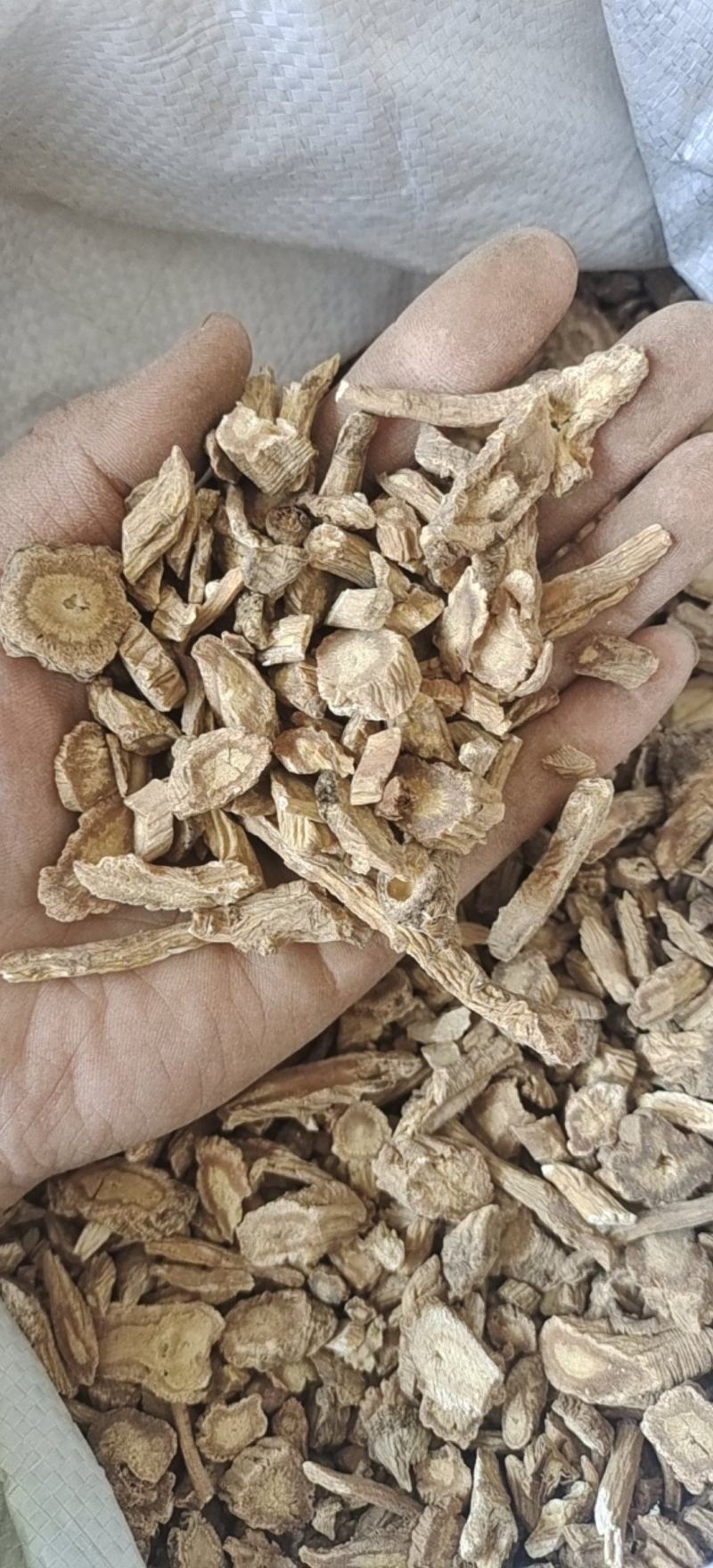 防风甘肃防风家种防风质量好防风统片