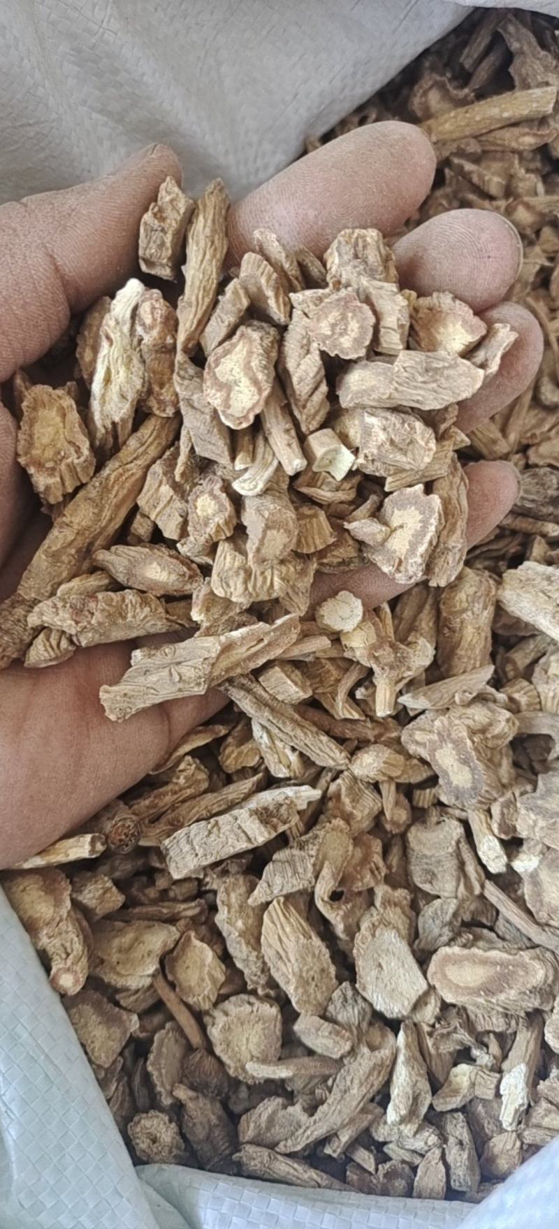 防风甘肃防风家种防风质量好防风统片
