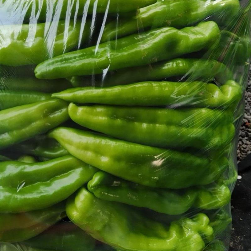青皮牛角尖椒《基地直供》，大棚精品，支持一件代发！！！