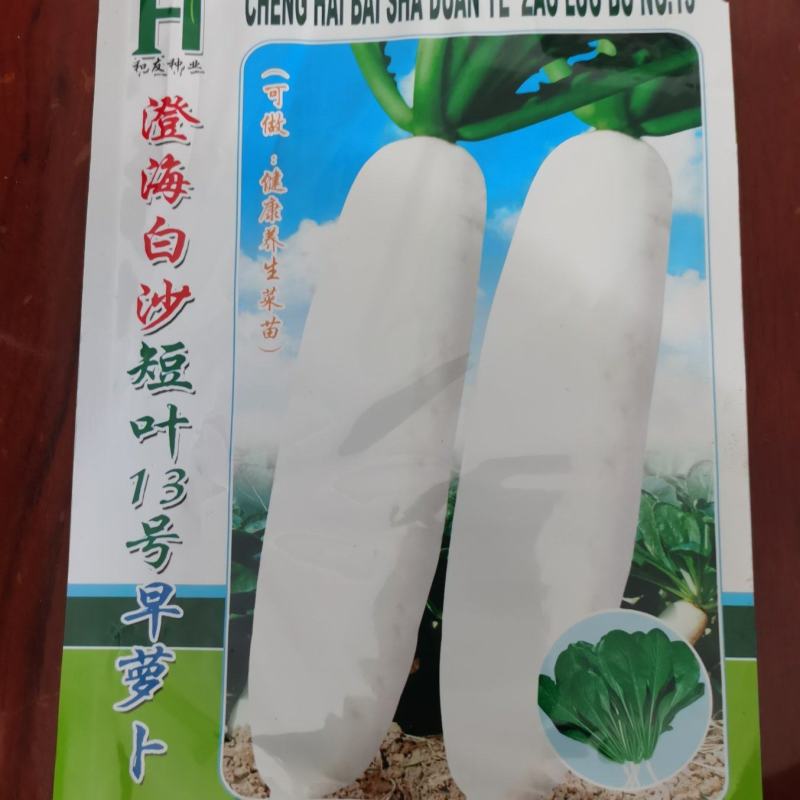 澄海白沙短叶13号早萝卜，抗热，大田用种，400克装