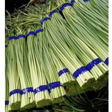 蒜薹