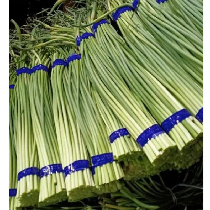 蒜薹